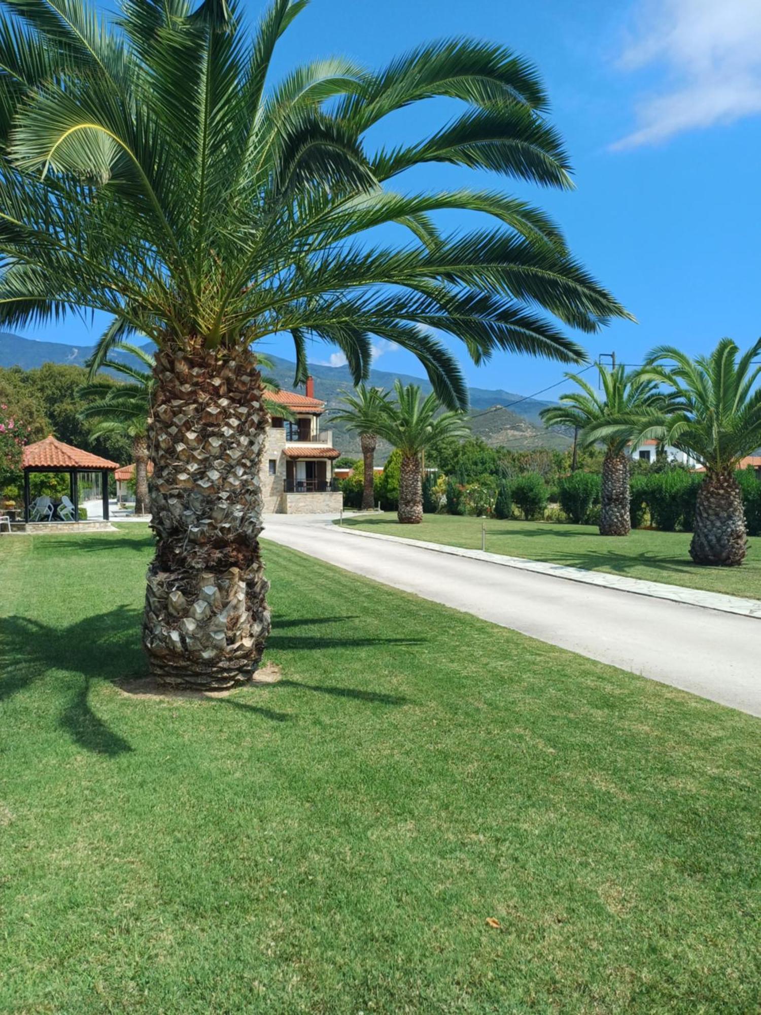 Villa Kallimanis Platanidia Exterior foto